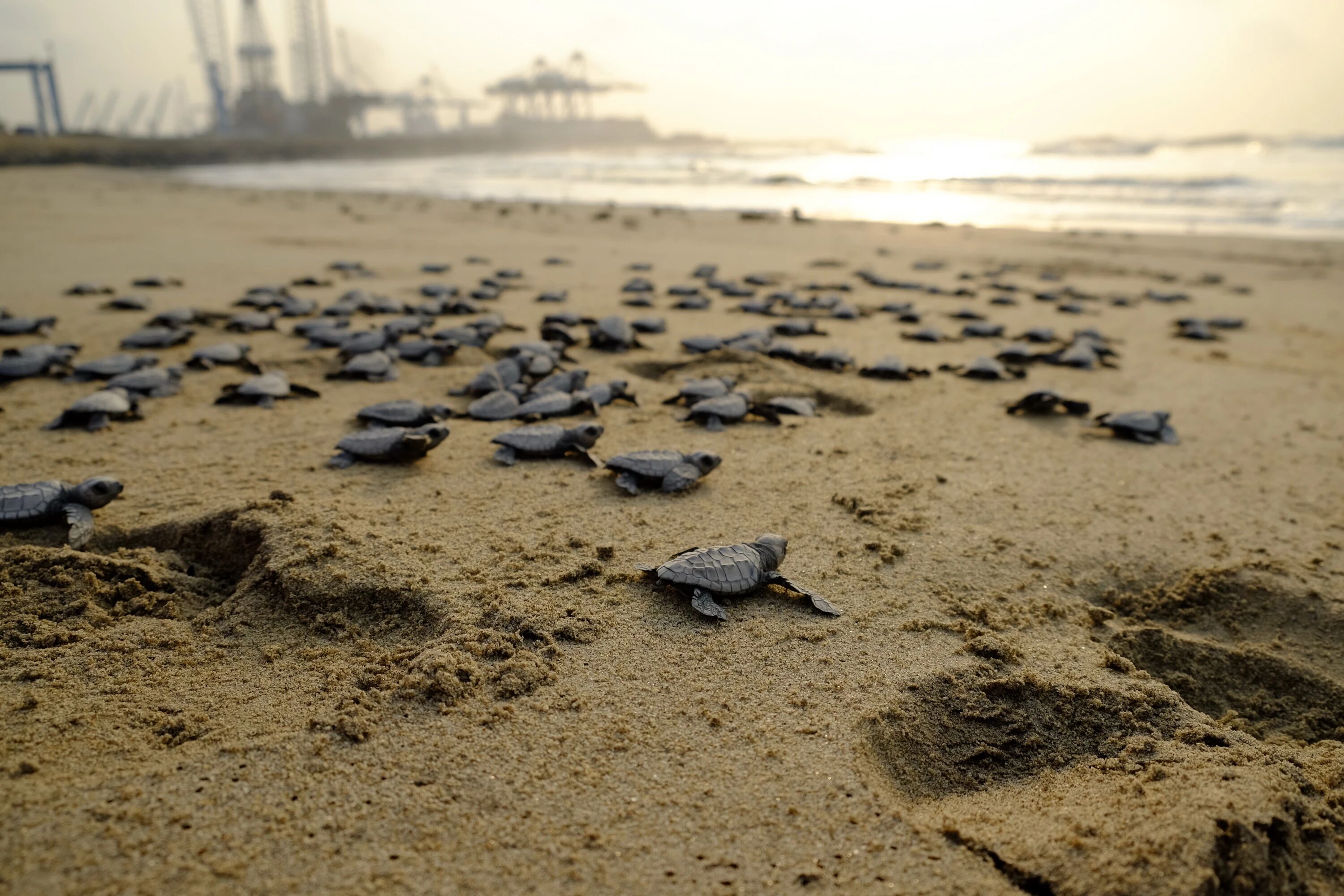 �ڲ�����-����Ϊ��,רҵ����!