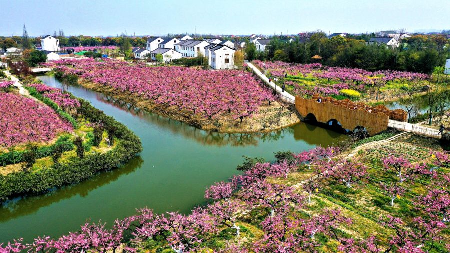 ÌÚ²©¹ÙÍø-³ÏÐÅΪ±¾,רҵ·þÎñ!