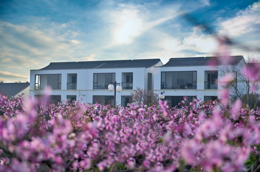 ÌÚ²©¹ÙÍø-³ÏÐÅΪ±¾,רҵ·þÎñ!